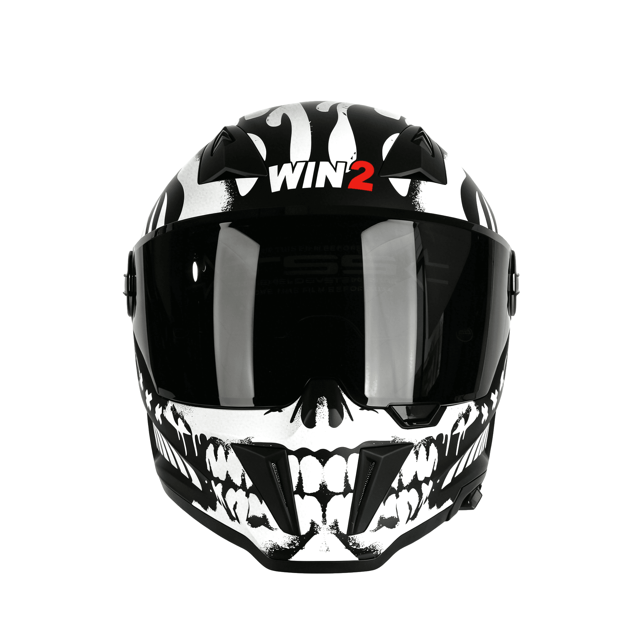 Skull front view