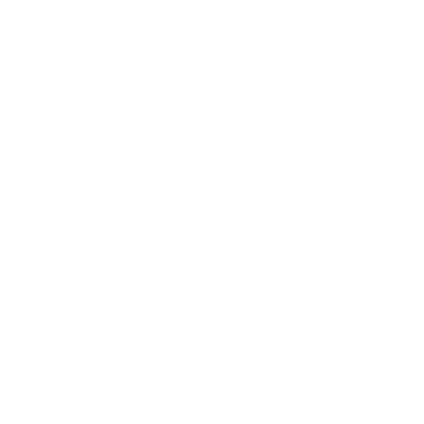 XVEX logo